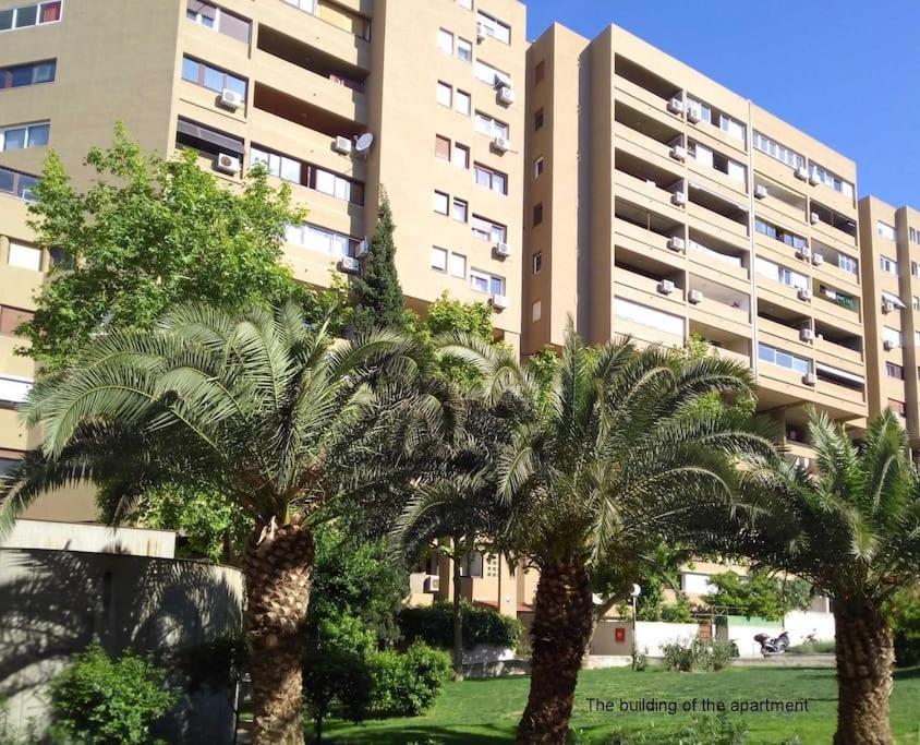 Eurit Apartment Shown In Detail سبليت المظهر الخارجي الصورة